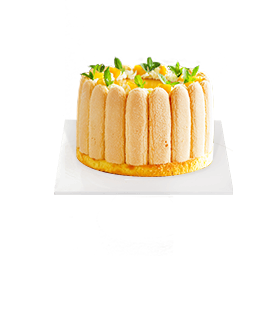 �ڸ��� ���� ä�� ���� ����Ʈ����